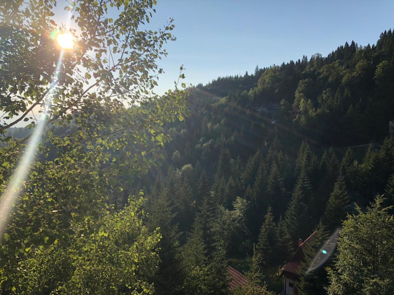Apartmán Stara Bacija Kopaonik Exteriér fotografie