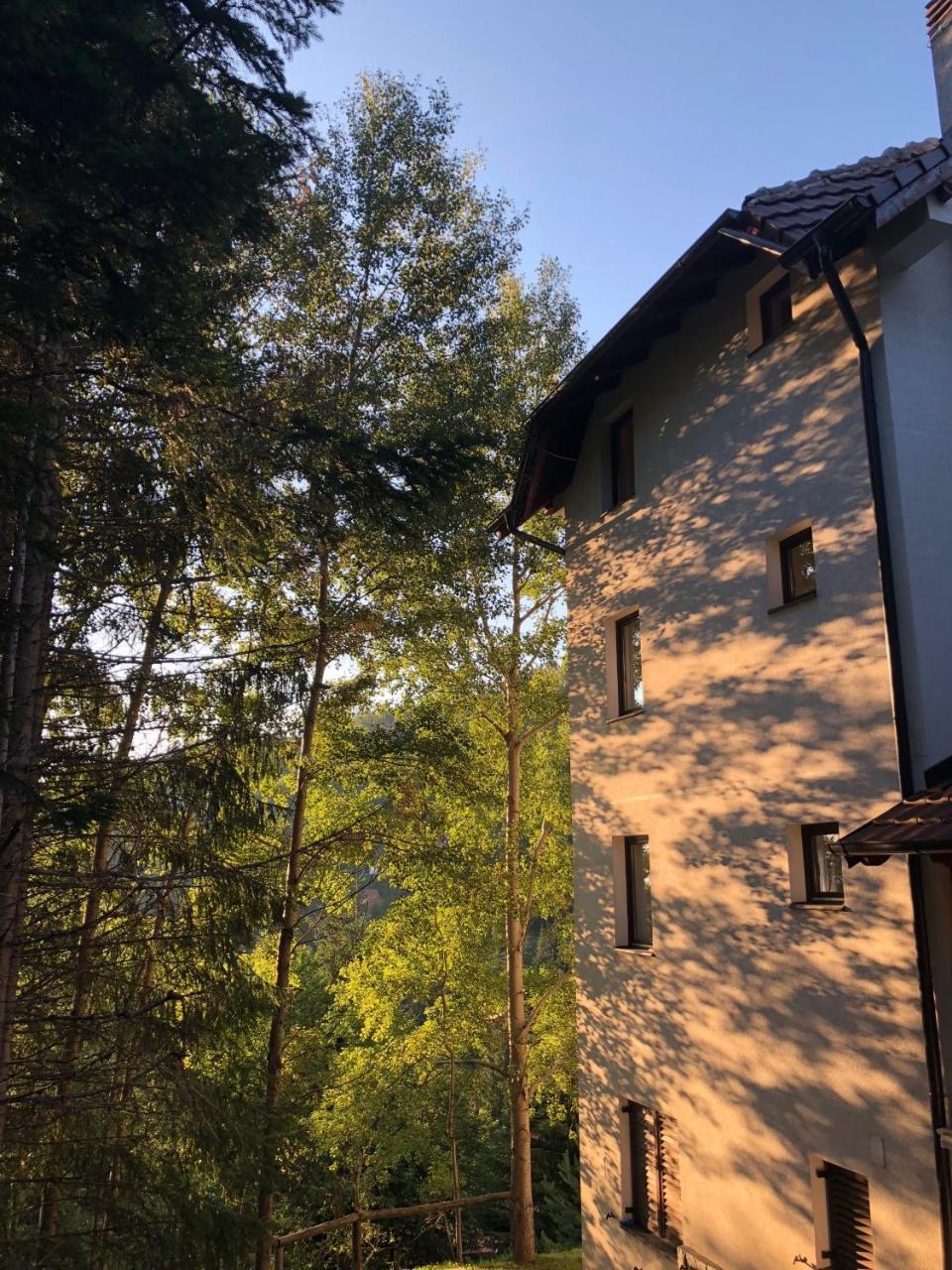 Apartmán Stara Bacija Kopaonik Exteriér fotografie