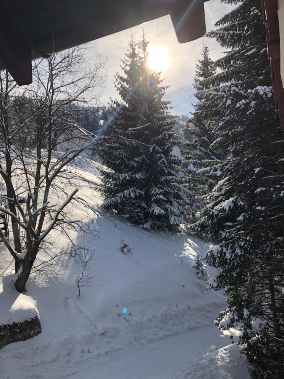 Apartmán Stara Bacija Kopaonik Exteriér fotografie