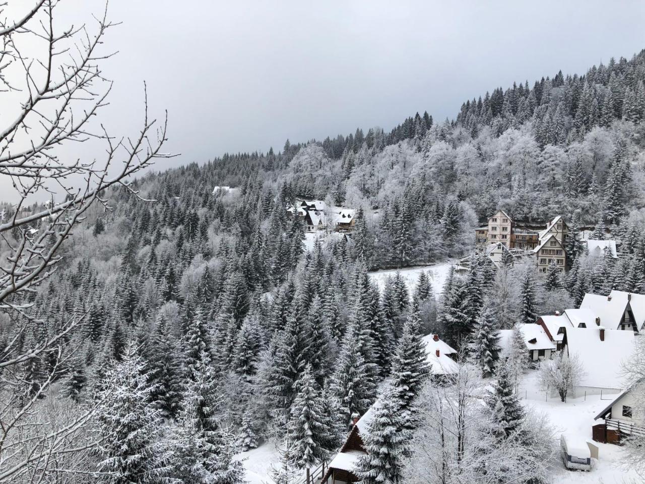 Apartmán Stara Bacija Kopaonik Exteriér fotografie