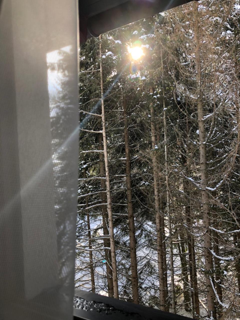 Apartmán Stara Bacija Kopaonik Exteriér fotografie