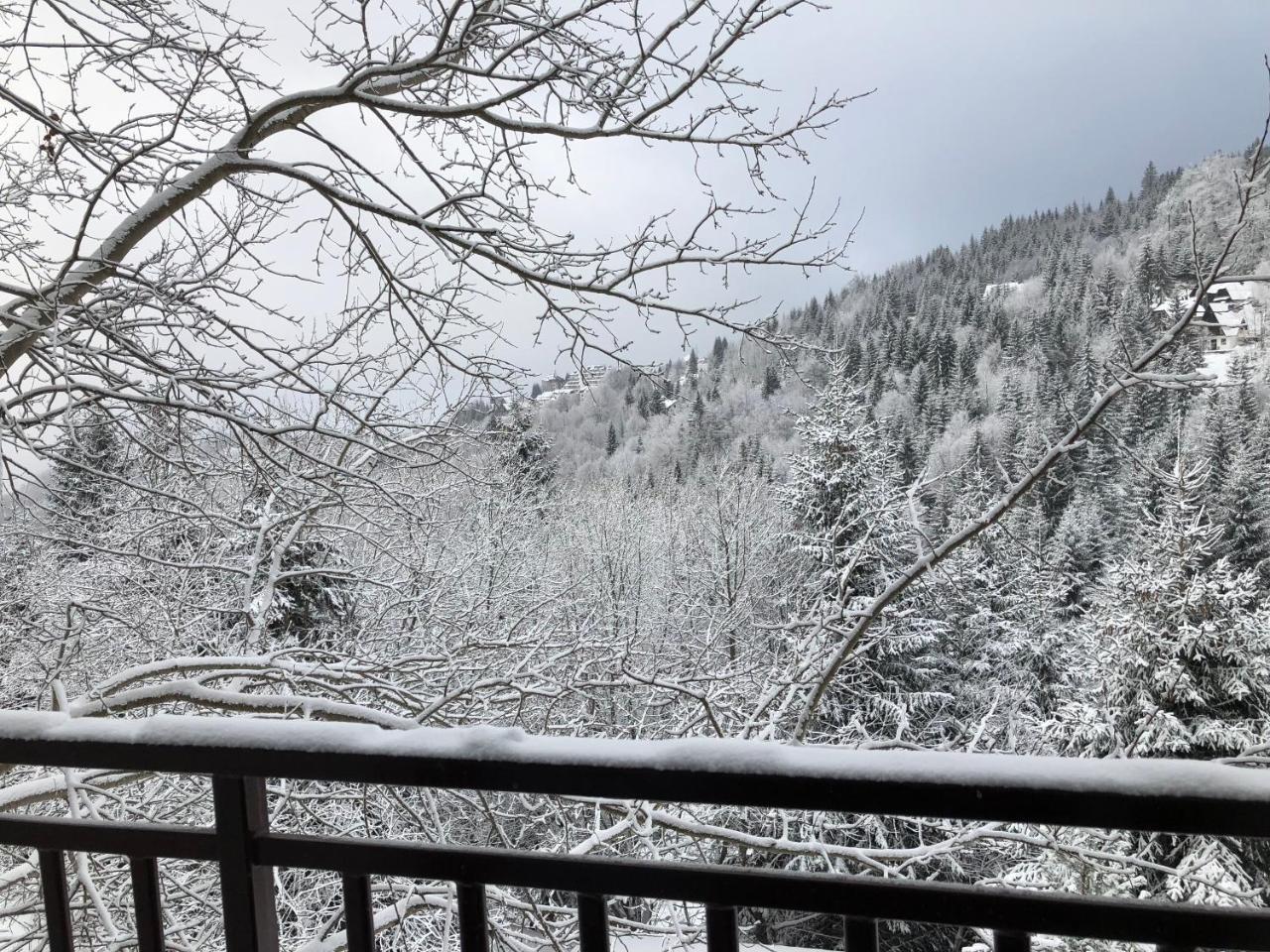 Apartmán Stara Bacija Kopaonik Exteriér fotografie